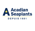 Algues acadiennes