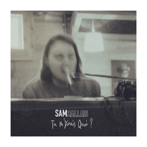 image de l'artiste Sam Mallais 